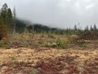 Click for an enlarged view